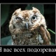 Макс Фролов