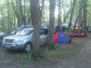 Nissan X-Trail 2.2 DCI MT 2005 Nissan X-Trail 2.2 DCI MT 2005