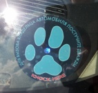 Chrysler Sebring 2.4 AT 2003 Chrysler Sebring 2.4 AT 2003