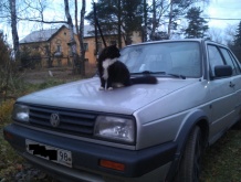 Volkswagen Jetta 1.8 MT 1988 Volkswagen Jetta 1.8 MT 1988