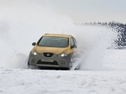 SEAT Altea 2009 SEAT Altea 2009