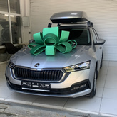 Skoda Octavia 2021 Skoda Octavia 2021