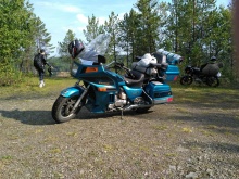 Kawasaki Z 1995 Kawasaki Z 1995