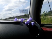 Daewoo Matiz 0.8 MT 2010 Daewoo Matiz 0.8 MT 2010