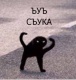 Artem